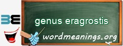 WordMeaning blackboard for genus eragrostis